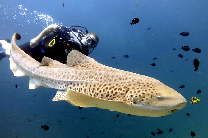 Full-Day Koh Phi Phi Scuba Diving Course from Phuket - Phuket Morning Start: Chalong Pier at 7:30 a.m.