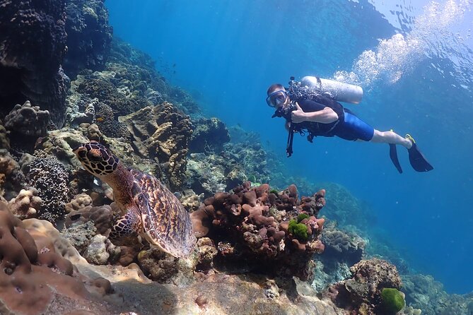 Full-Day Koh Phi Phi Scuba Diving Course from Phuket - Price and Value: Is $168.98 a Fair Deal?