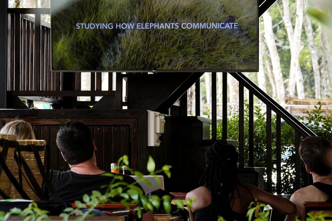 Full-Day Phuket Elephant Sanctuary Tour with Lunch and Dinner - The video lesson: a quick reset on elephant history and behavior