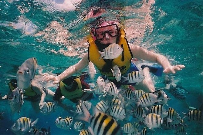 Full-Day Racha Noi and Racha Yai Snorkeling from Phuket - Stop-by-stop: how the Racha Noi schedule usually feels in real life