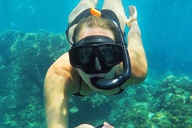 Full-Day Racha Noi and Racha Yai Snorkeling from Phuket - What marine life you can realistically hope to see