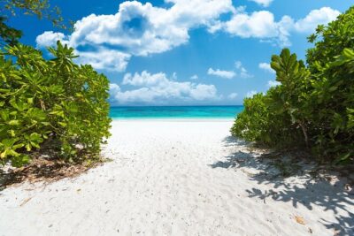 Full-day Tour to the Similan Islands by Speedboat from Khao Lak - Stop 1: your first Similan island swim and sand time