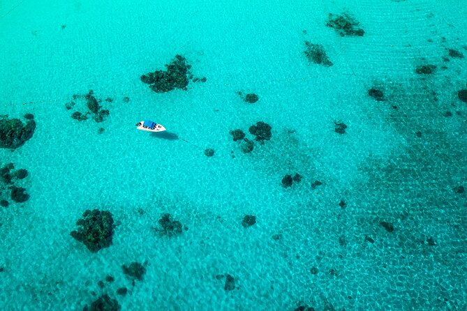 Full-day Tour to the Similan Islands by Speedboat from Khao Lak - What you get on board: snorkel gear, a local guide, and park fees