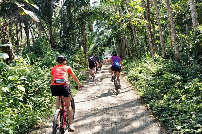 Half-Day Countryside Cycling Small-group Tour in Phuket - Key things worth knowing