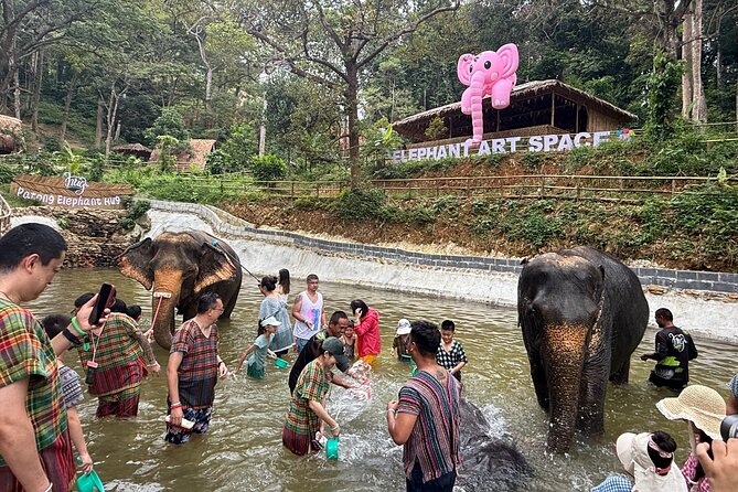 Half day with Elephants at Patong Elephant Hug （No ride No trick） - What you’ll actually do during feeding and hugging