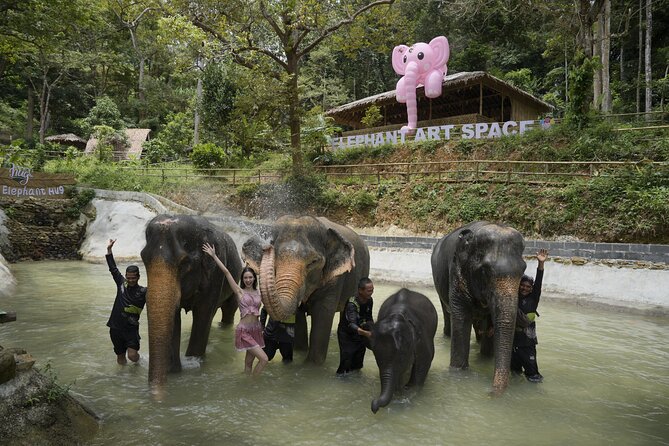 Half day with Elephants at Patong Elephant Hug （No ride No trick） - Facilities and included extras that make it easy
