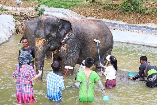 Half day with Elephants at Patong Elephant Hug （No ride No trick） - Pickup and getting there: smoother than you might expect