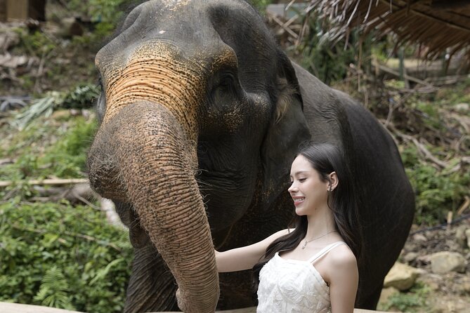 Half day with Elephants at Patong Elephant Hug （No ride No trick） - Cost and value: $32.50 for an included-care visit