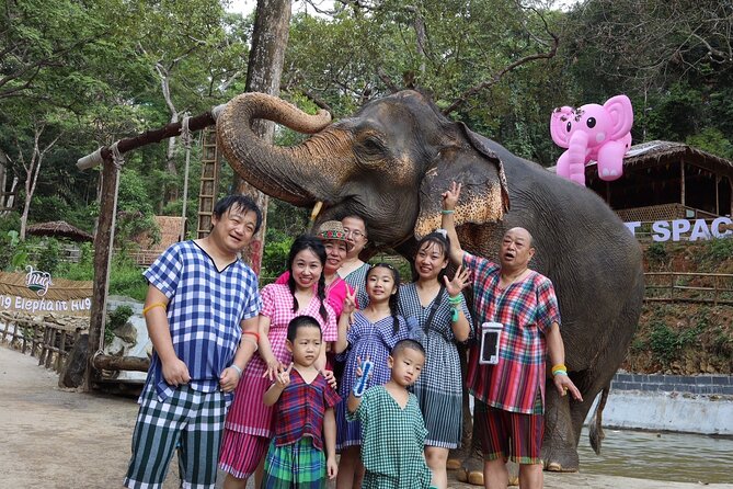 Half day with Elephants at Patong Elephant Hug （No ride No trick） - A balanced reality check: what to know before you’re all-in