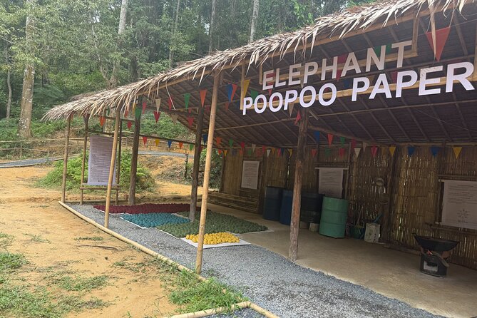 Half day with Elephants at Patong Elephant Hug （No ride No trick） - The three half-day packages: pick the one that matches your pace