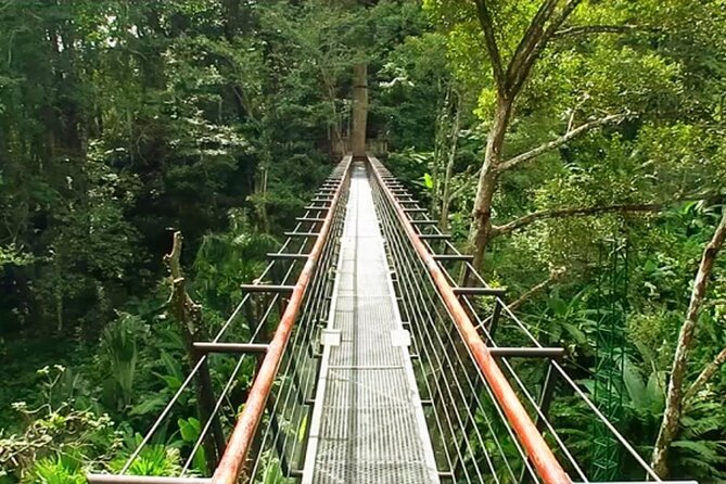Hanuman World Phuket Round Trip Transfer Extra Zone - Skywalk and Spiral Staircases: When the Course Slows Down Just Enough