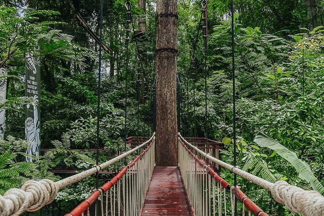 Hanuman World Zipline & Skywalk Phuket - Transfers and meeting points: how to avoid a timing headache