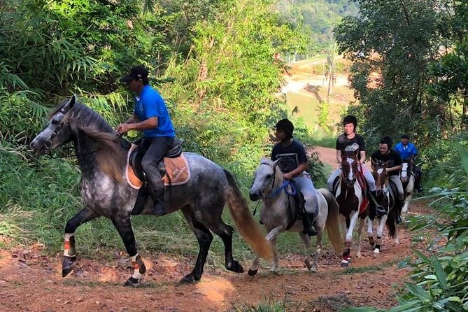Horseback Riding 1 hour trail - Key highlights you’ll feel on this Chalong Hills ride