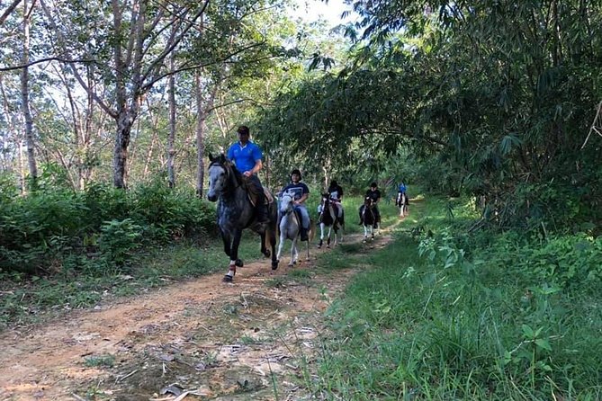 Horseback Riding 1 hour trail - What the 1-hour ride is really like in Chalong