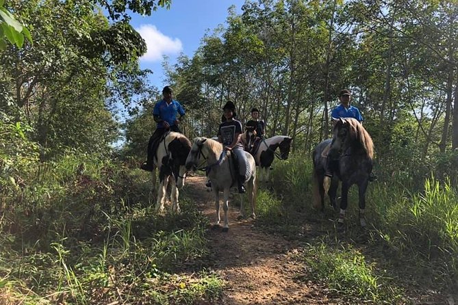 Horseback Riding 1 hour trail - From the stable onto rubber plantations and fruit orchards