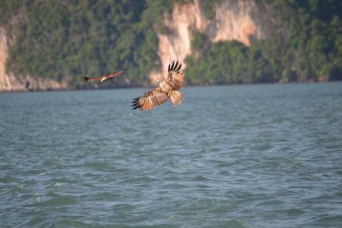 John Gray's Adventure Hong by Starlight in Phang Nga Bay - On-board Thai buffet: meals that make a long day easier