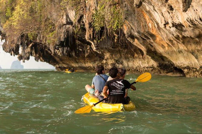 John Gray's Hong by Starlight with Sea Cave Kayaking + Loy Krathong From Phuket - Fireflies and bioluminescent plankton: the true starlight show