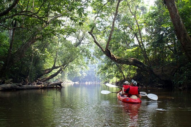 John Gray's Sea Canoe Hong by Starlight Tour - The caves and lagoons: what you’re really paying to see
