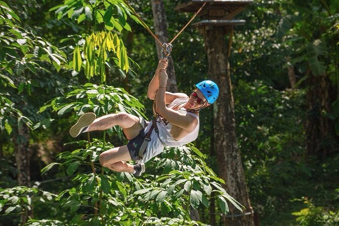 Jungle Xtreme Adventures and Zipline - What You’ll Do Up in the Treetops: Walkways, Nets, Bridges, and Ziplines