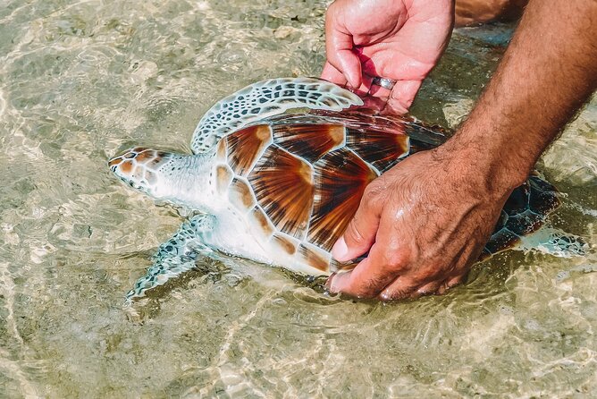 Khao Lak Full Day Tour: Sarasin Bridge, Khao Lak National Park, Lampi Waterfall - A Khao Lak day that mixes bridge views, rafting wildlife, and a waterfall swim