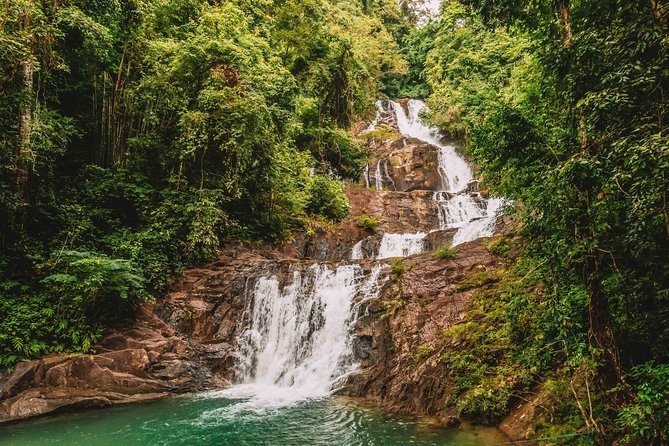 Khao Lak Full Day Tour: Sarasin Bridge, Khao Lak National Park, Lampi Waterfall - Sea Turtle Conservation Center on a Thai navy base: rehabilitation you can actually see