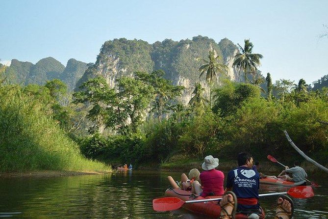 Khao Sok National Park Jungle Safari Full Day Tour from Phuket - Elephant camp in the rainforest: a different kind of Khao Sok stop