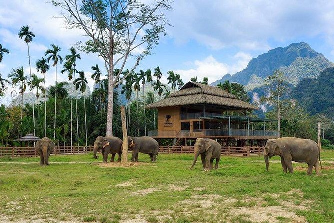 Khao Sok National Park Jungle Safari Full Day Tour from Phuket - Bamboo river rafting / canoeing: the calm part of the jungle day