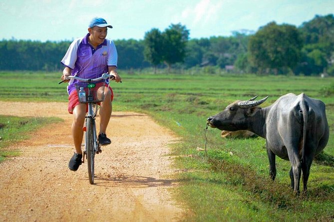 Koh Yao Noi Full Day Tour with Bike Ride & Lunch - Why Koh Yao Noi feels like a break from Phuket life