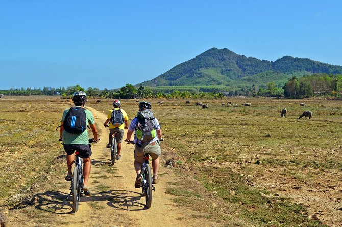 Koh Yao Noi Full Day Tour with Bike Ride & Lunch - Morning ride on Koh Yao Noi: markets, mangroves, rubber, and stilts