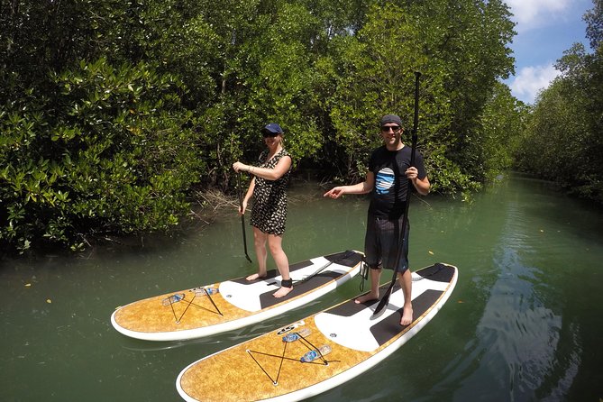 Mangroves SUP Tour Phuket - At the Start: Instruction That Helps First-Timers