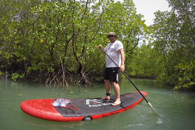 Mangroves SUP Tour Phuket - Food, Water, and the Small Luxury of Not Planning Snacks