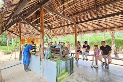 Old Phuket Farm Ticket - Countryside Local Life Culture - The 2-Hour Flow: How the Farm Tour Moves From Buffalo to Rice