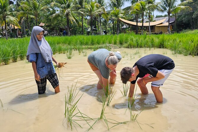 Old Phuket Farm Ticket - Countryside Local Life Culture - Tin panning: Phuket’s mining story made hands-on
