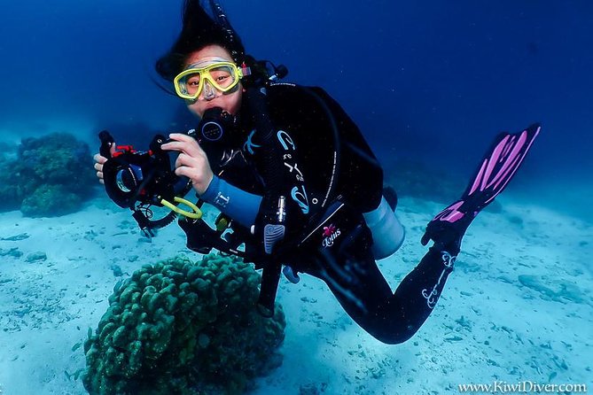Open water scuba certifiication course with beach dives - Day One: e-learning, paperwork, gear fitting, and pool training