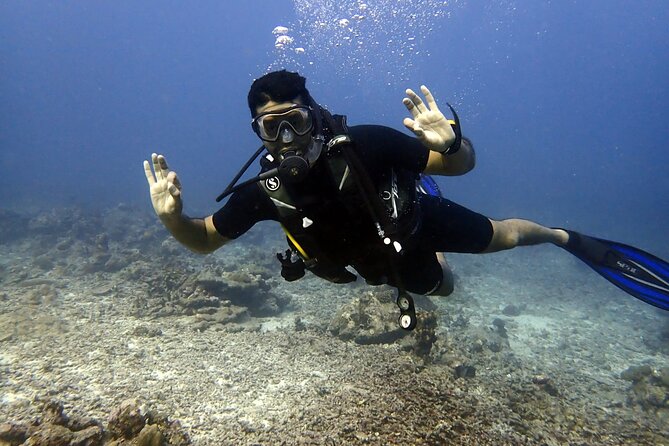 PADI Discover Scuba 2 Times Diving Phuket - Your Two Dive Sessions: Seeing Color While Staying in Control
