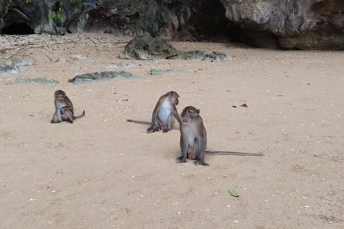 Phang Nga Bay Island Boat Tour By Speedboat By Phuket Sail Tours - Swimming and snorkeling time that fits a speedboat day