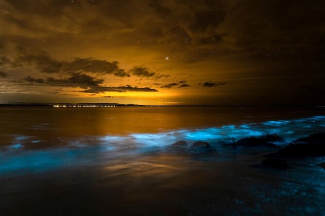 Phang Nga Bay Private Bioluminescence and Sea Canoeing Tour - From morning briefing to an after-dark science show