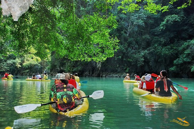 Phang Nga Bay Starlight by John Gray Sea Canoe - Wildlife sightings: what you might see and how to spot it calmly