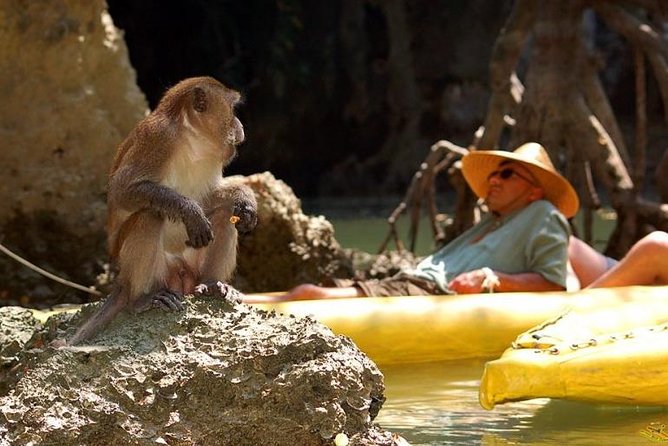 Phang Nga Bay Starlight by John Gray Sea Canoe - Group size, crew care, and why the boat ride matters