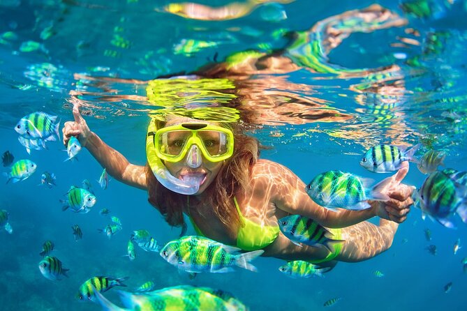 Phi Phi and Khai Islands Snorkeling Tour with Lunch by Speedboat - Speedboat access: why this loop makes sense