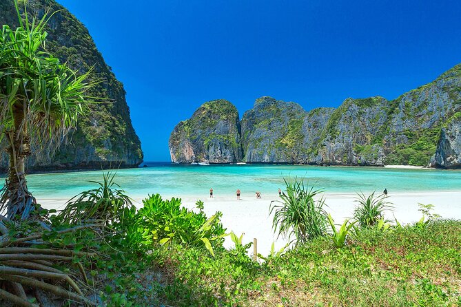 Phi Phi & Bamboo Island Full Day Tour by Premium Speed-Catamaran - Phi Phi Don: lunch, narrow-street time, and the snorkeling window