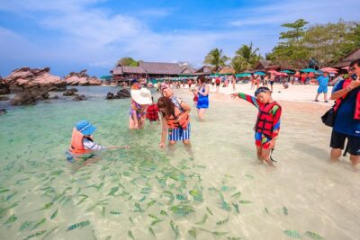 Phi Phi Island from Phuket by Speedboat (SHA Plus) - Koh Khai Nai: white sand plus straightforward snorkeling