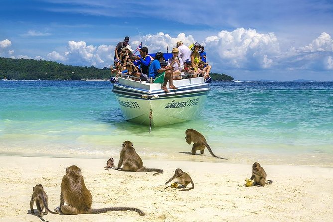 Phi Phi Island from Phuket by Speedboat (SHA Plus) - Price and value: what $94.89 really buys you