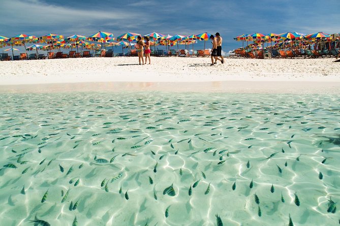 Phi Phi Island from Phuket by Speedboat (SHA Plus) - Group size and comfort: the thing you should check before you commit