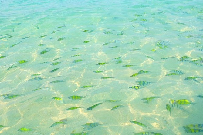 Phi Phi Islands One Day Tour by Speedboat From Phuket - Stop 1: Phi Phi Islands (1 Hour) for the Big Picture