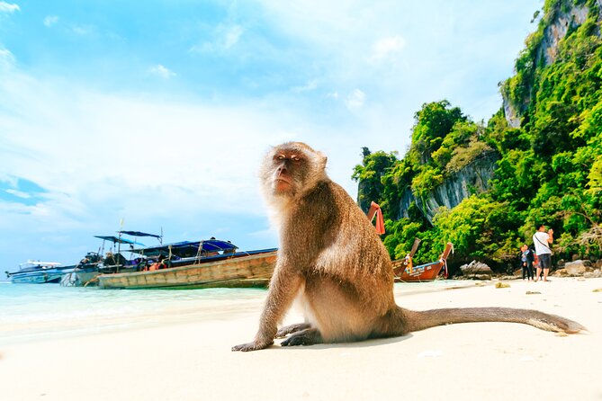 Phi Phi, James Bond & Krabi Overnight - Exclusive 2D1N - Price and value: is $265.30 a good deal?