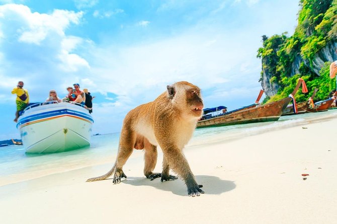 Phi Phi , Khai & Maya : Unforgettable Island Hopping by Speedboat - Breakfast, Lunch, and Snorkel Gear: Included Stuff That Saves the Day