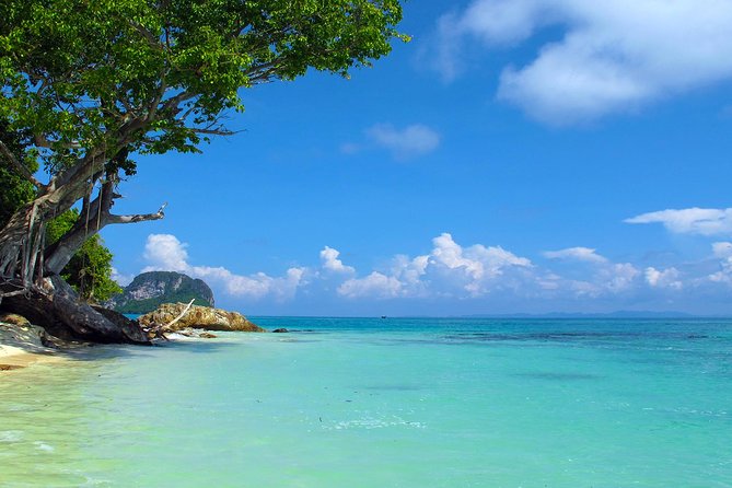 Phi Phi & Maya Bay Speedboat: All-Day Food & Choice of 3 Marinas - Included snorkeling and Khai Island swim time: the best water moments