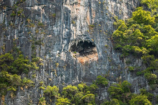 Phi Phi, Maya, Khai and Pileh Day Trip by Speed Catamaran From Phuket - Price and Logistics: What You’re Paying For (and What’s Extra)