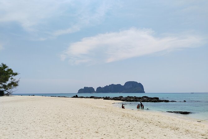 Phi Phi Snorkeling Early Day Trip, Speedboat - Phuket Sail Tours - Monkey beaches: wildlife time with an organized pace